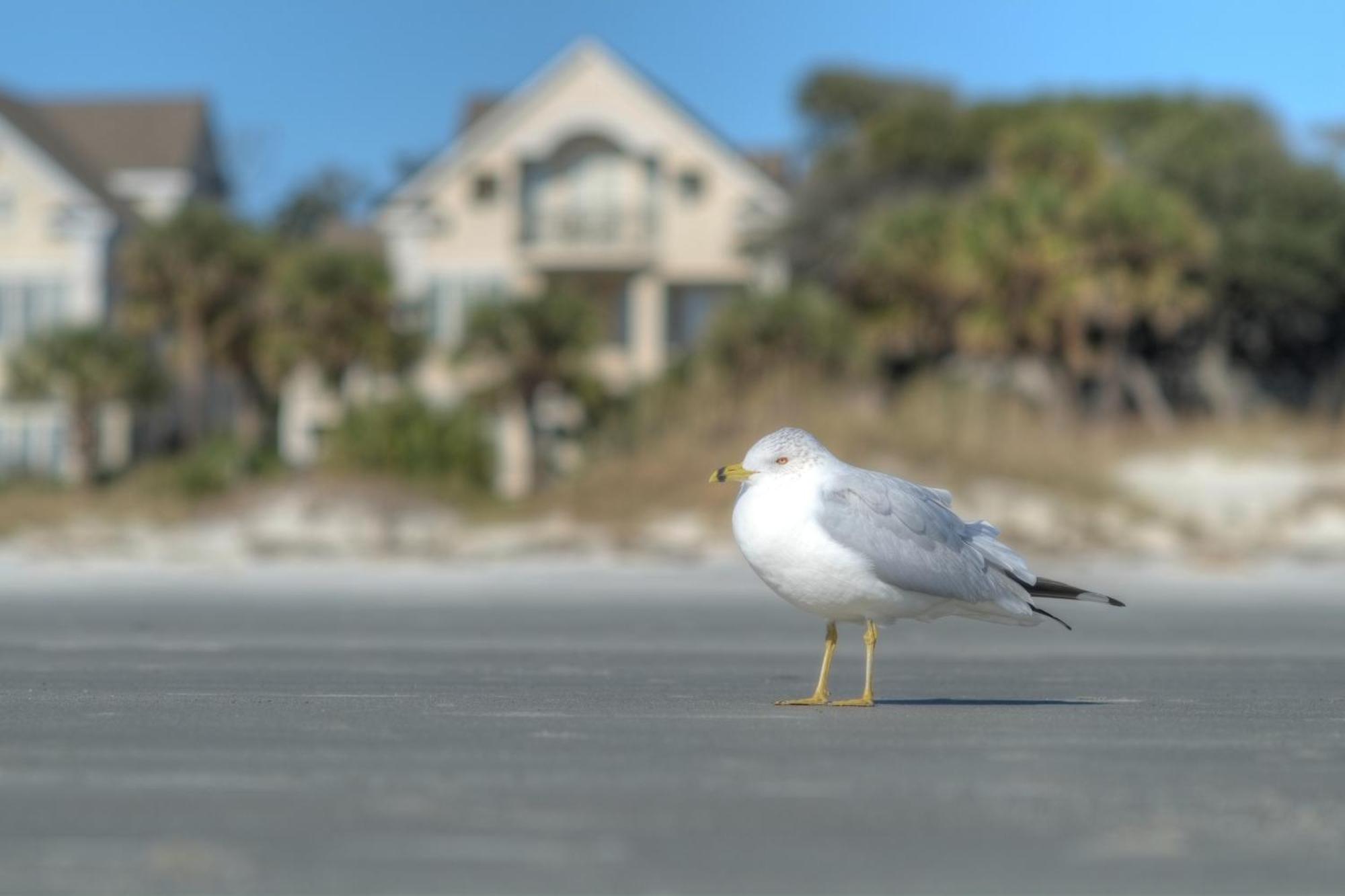 Racquet Club Villas Hilton Head Island Δωμάτιο φωτογραφία